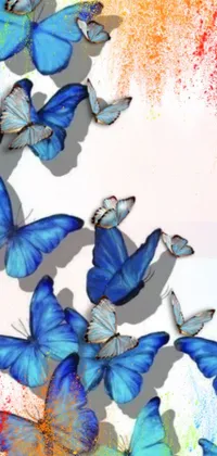 This phone live wallpaper features a group of blue butterflies on white surface in a beautiful digital painting with blue and red color tones