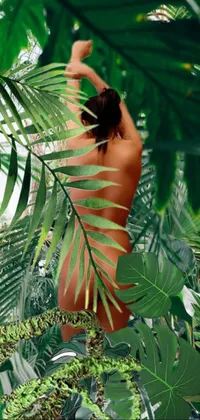 Get lost in the lush greenery of this jungle live wallpaper, featuring a dense canopy of tropical plants and trees, creating a peaceful and tranquil atmosphere that's perfect for nature lovers
