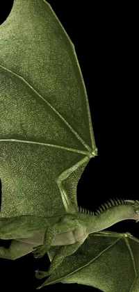 This phone live wallpaper features a highly detailed green dragon in mid-flight against a black background