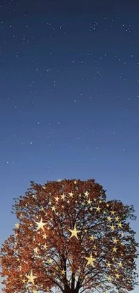 This mesmerizing live wallpaper for your phone features a serene night sky with a grand tree adorned with shimmering stars