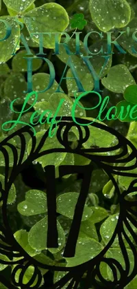 Leaf Organism Font Live Wallpaper