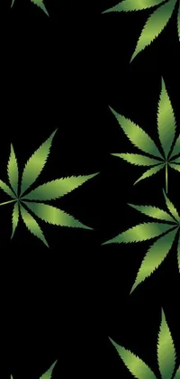 This phone live wallpaper boasts a captivating pattern of marijuana leaves on a black backdrop