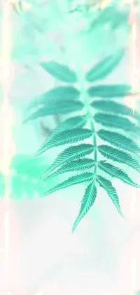 Leaf Terrestrial Plant Twig Live Wallpaper