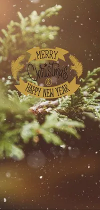 merry Christmas  Live Wallpaper