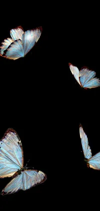 Light Arthropod Butterfly Live Wallpaper