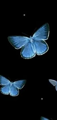 This phone live wallpaper depicts stunning blue butterflies flying through a night sky surrounded by a Hurufiyya pattern
