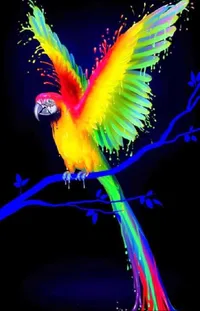 Light Bird Organism Live Wallpaper