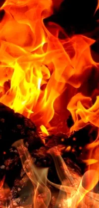 Experience the heat and intensity of a blazing fire with this exhilarating live wallpaper