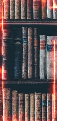 book library  Live Wallpaper