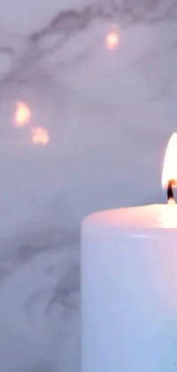 Light Candle Cup Live Wallpaper