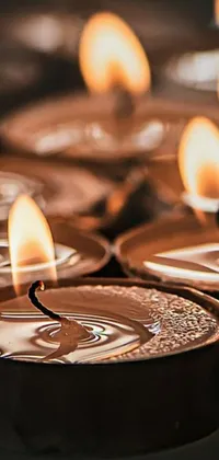 Light Candle Plate Live Wallpaper