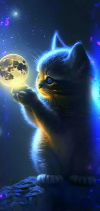 Light Cat Blue Live Wallpaper