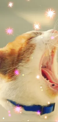This phone live wallpaper displays a stunning digital art piece of a close-up of a cat with its mouth open, revealing its sharp teeth and pink tongue