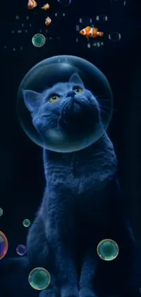 Light Cat Felidae Live Wallpaper
