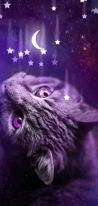 Light Cat Purple Live Wallpaper