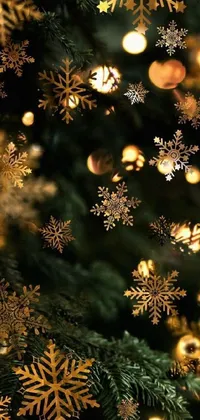 Light Christmas Ornament Branch Live Wallpaper