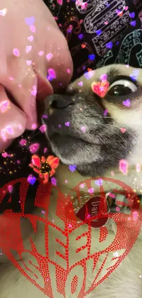 This charming phone live wallpaper features a delightful close-up of a person cuddling with their furry companion on a bed