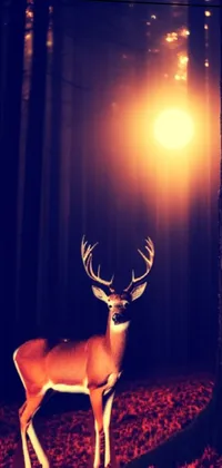 Light Deer Branch Live Wallpaper