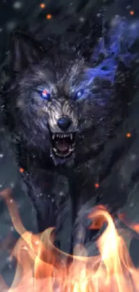 Get this live wallpaper for your phone depicting a fierce running wolf, with blue eyes, in the midst of a snowy landscape