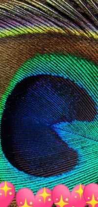 This phone live wallpaper features a stunningly detailed macro photograph of a colorful peacock feather