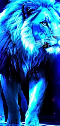 Light Felidae Blue Live Wallpaper