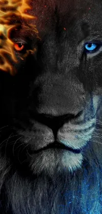 This phone live wallpaper boasts a digital close-up of a lion with captivating blue eyes set against a bold backdrop of red and blue backlight