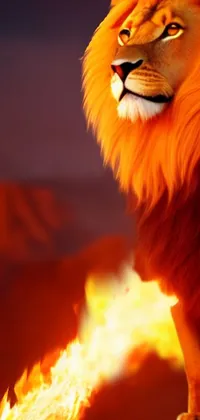 This phone live wallpaper showcases a powerful lion standing atop a fiery rock in a dynamic closeup