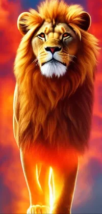 This phone live wallpaper features a stunning illustration of a lion on top of a rock, with a mesmerizing backdrop of flames and a fiery orange sky, creating an epic and powerful vibe
