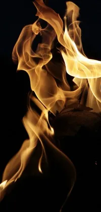 Light Fire Flame Live Wallpaper