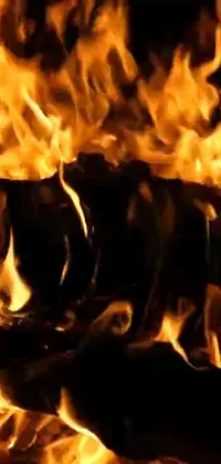 Experience the cozy atmosphere of a warm fireplace with this stunning HD live wallpaper
