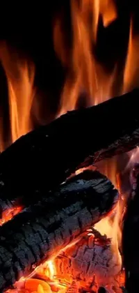 Get a stunning phone live wallpaper with a pile of wood on fire