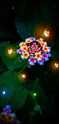 Light Flower Petal Live Wallpaper