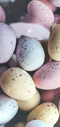 Light Food Dish Live Wallpaper
