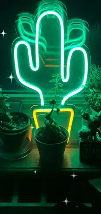 Light Green Plant Live Wallpaper