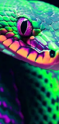 Light Green Reptile Live Wallpaper