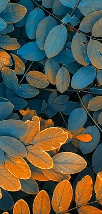 Light Leaf Blue Live Wallpaper
