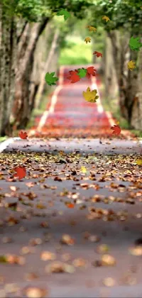 This phone live wallpaper features a captivating composition of a tree-lined road with leaves in a tilt shift photo style