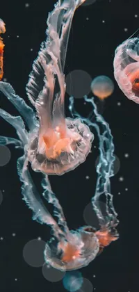 Light Marine Invertebrates Jellyfish Live Wallpaper