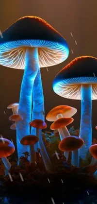 Looking for an eye-catching wallpaper design for your phone? Look no further! This live wallpaper features a mesmerizing image of mushrooms on a wooden table