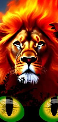 This live wallpaper depicts a close up of a lion's fiery face on a black background, created with digital art consisting of air brush illustration