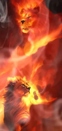 This live phone wallpaper is a stunning fantasy art portrait featuring a couple of lions standing on a flaming ground