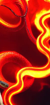 "Get a striking live wallpaper for your phone featuring a close-up of a cobra snake