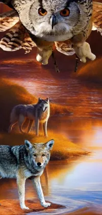 This phone live wallpaper features a stunning group of realistic and detailed forest animals, including a wolf, bear, eagle, and deer