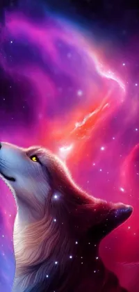 Get a stunning and unique phone live wallpaper featuring a majestic wolf looking up at the stars under the breathtaking red and purple nebula in the sky