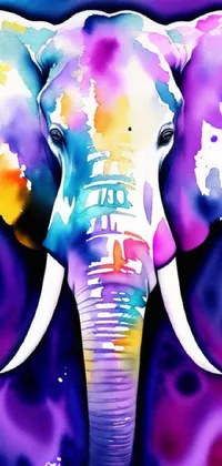 This stunning phone live wallpaper features a close up of an airbrushed painting of an elegant elephant standing in a grassy savanna with a sunny blue sky as a backdrop