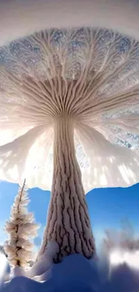 Get closer to nature with this stunning live wallpaper! Featuring a snow-covered ground with a giant mushroom and a white tree in the background, this wallpaper captures the intricacies of the natural world