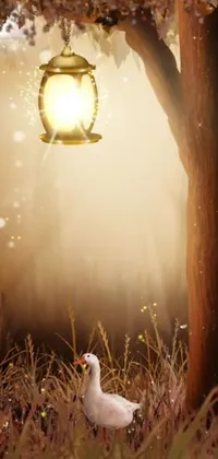 Light People In Nature Plant Live Wallpaper