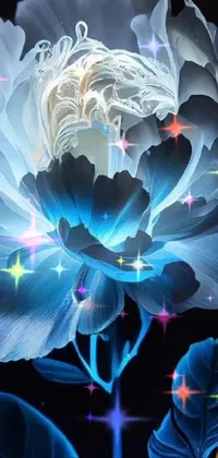 This beautiful digital art live wallpaper features a close-up shot of vibrant light blue peonies against a black background