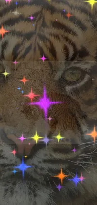 Experience the raw power and mystique of the tiger with this stunning phone live wallpaper