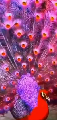 This phone live wallpaper boasts a plethora of unique themes to choose from, including a vibrant bird featuring intricate feathers, playful Instagram graphics, stunning video art, and colorful coral motifs